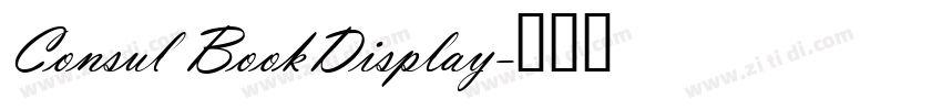Consul BookDisplay字体转换